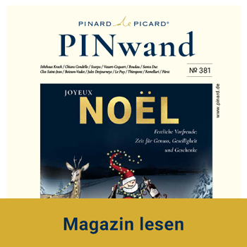 PINwand online lesen