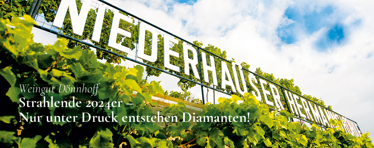 PINwand 375 | Dönnhoff - Strahlende 2024er